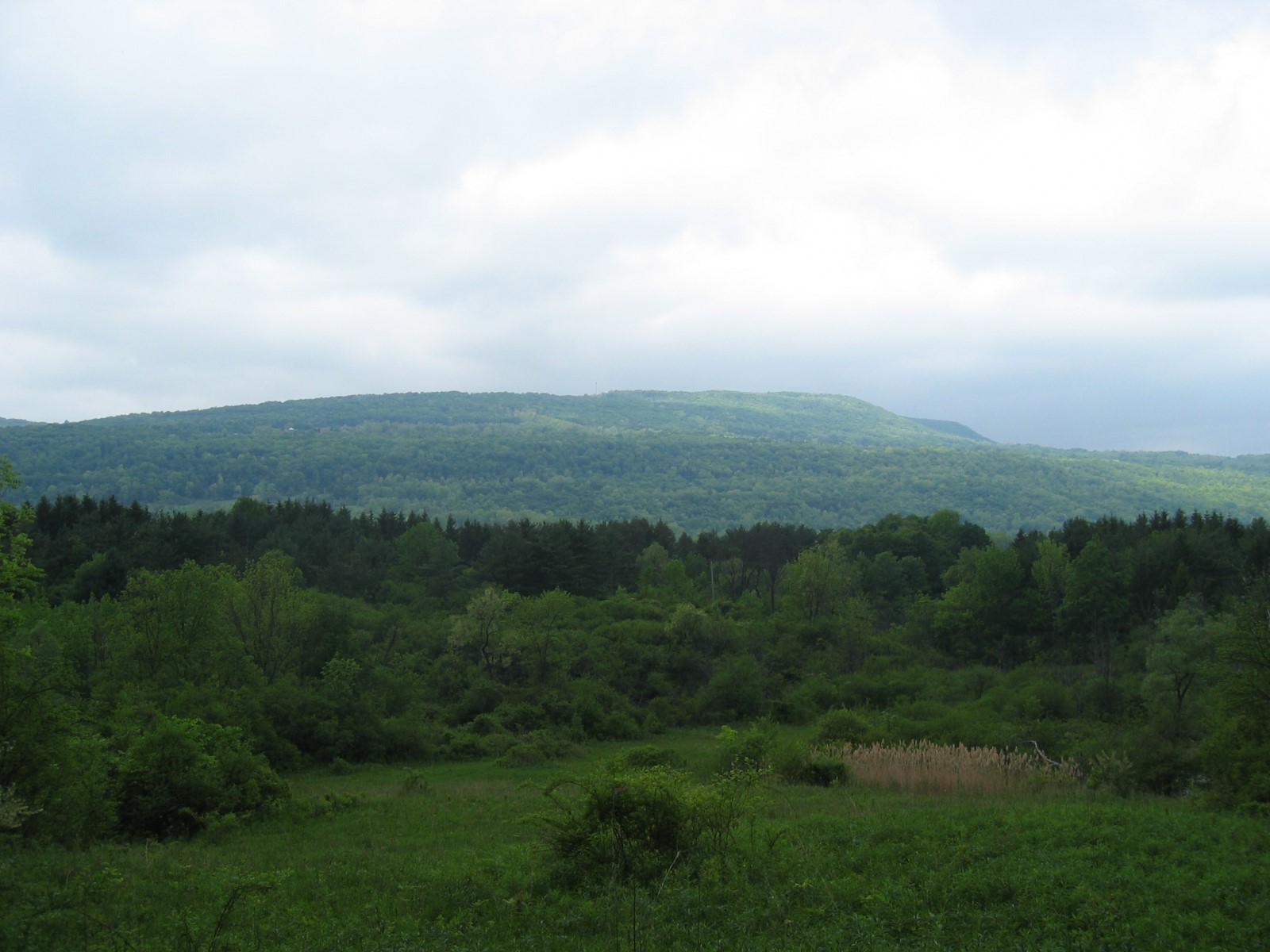 Wooded hills and open green fields in the Tully Valley